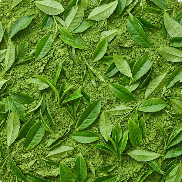 L-Theanine, close up