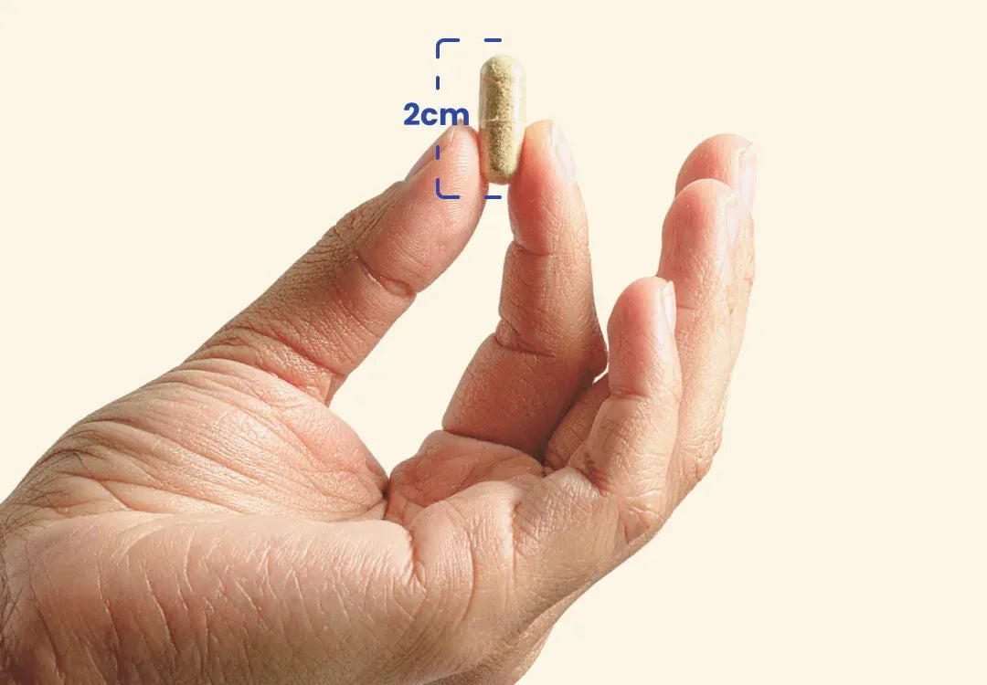 One capsule held between two fingers, about 2 cm long