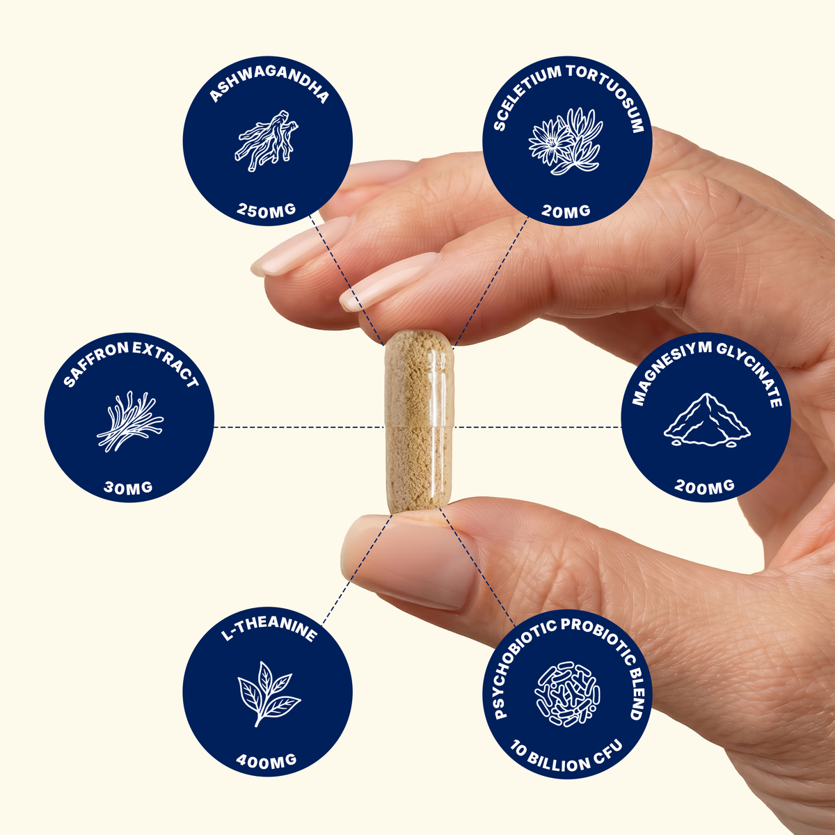 NERVOUS SYSTEM STRESS & CORTISOL RELIEF