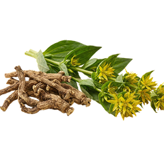 GENTIAN EXTRACT (GENTIANA LUTEA) — 200 MG