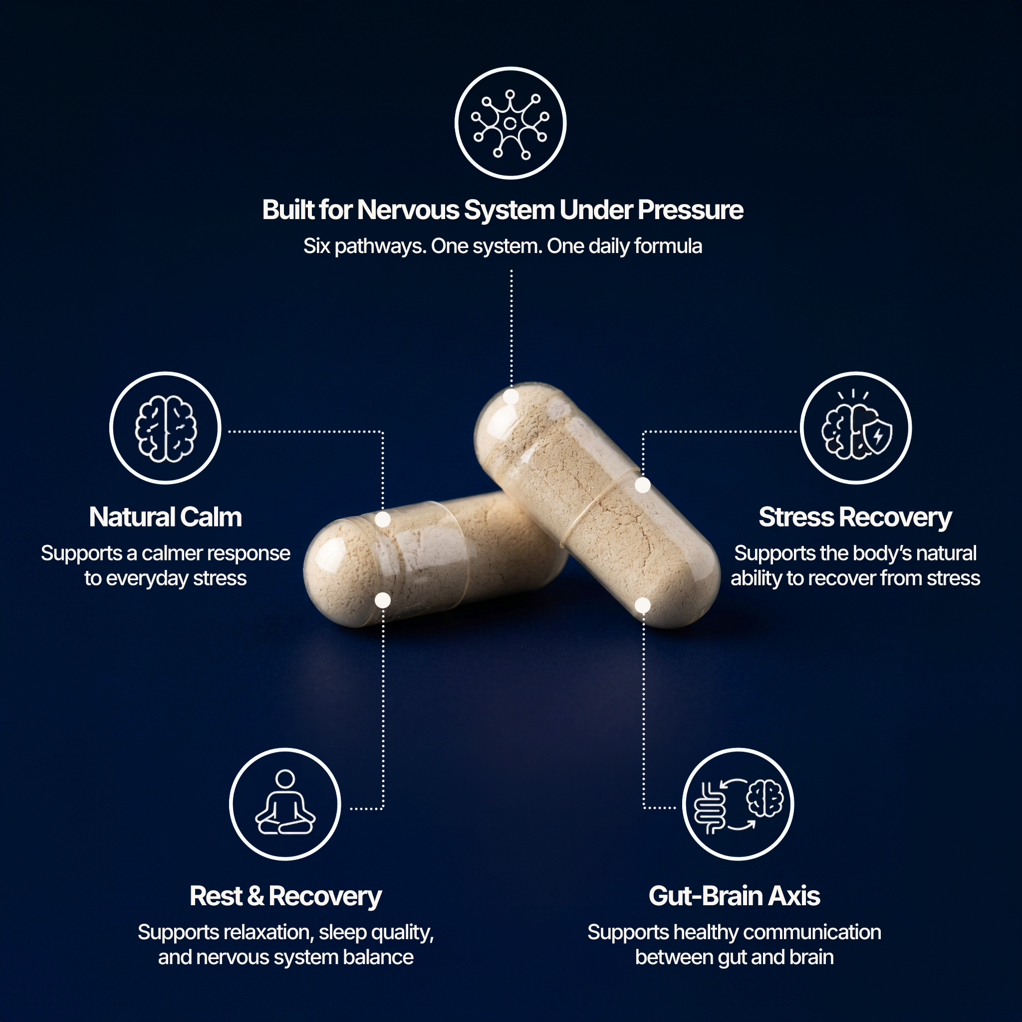NERVOUS SYSTEM & CORTISOL SUPPORT