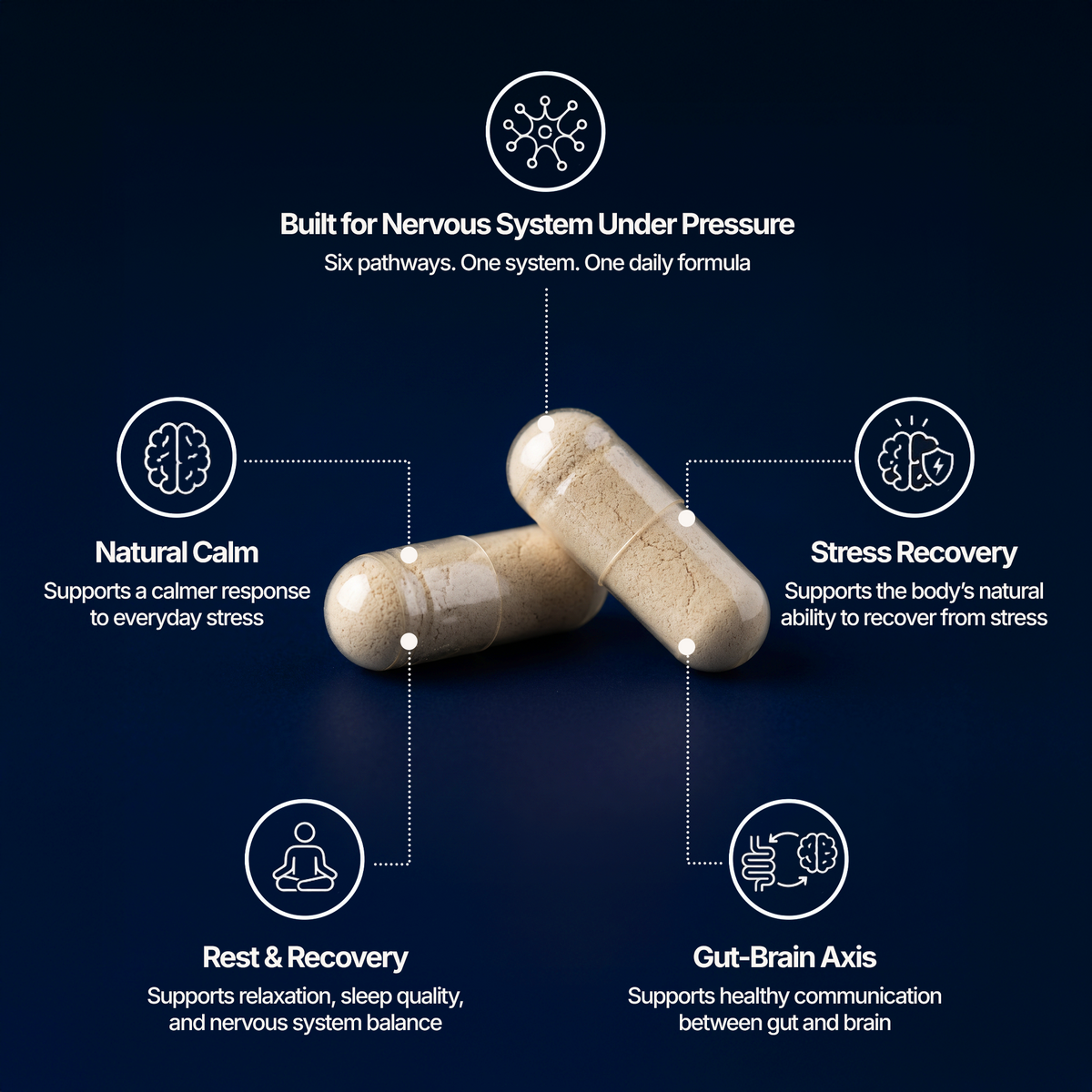 NERVOUS SYSTEM & CORTISOL SUPPORT